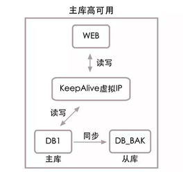 奥门一码中一肖更新日期|实时数据解释落实_安卓款.6.741