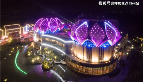 龙之融合最新官方版下载-龙之融合官网下载v.6.99 龙之融合最新官方版下载-龙之融合官网下载v.6.99