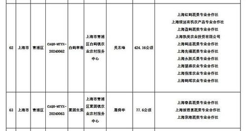 白小姐三肖选一码期期|确保解答的绝对准确性_领航品.5.156